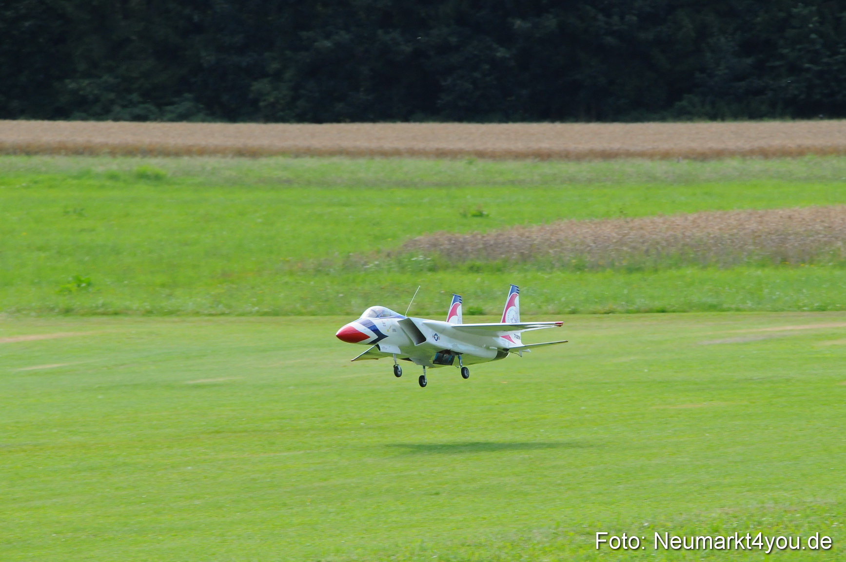 Grossflugmodelle Hemau 010810 0229