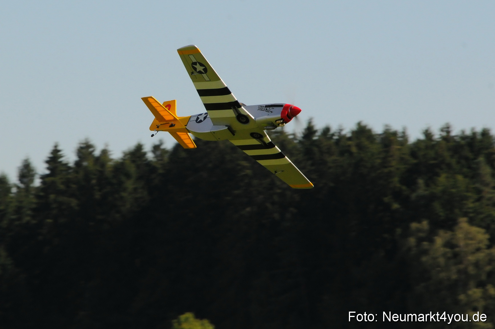 Grossflugmodelle Hemau 010810 0253