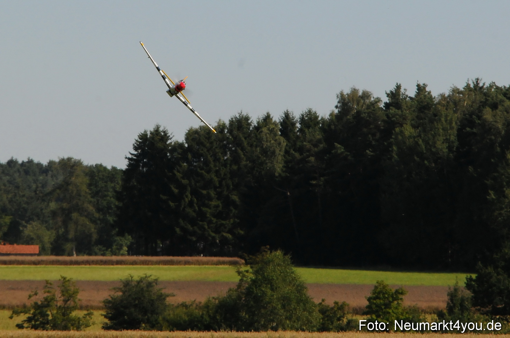 Grossflugmodelle Hemau 010810 0255