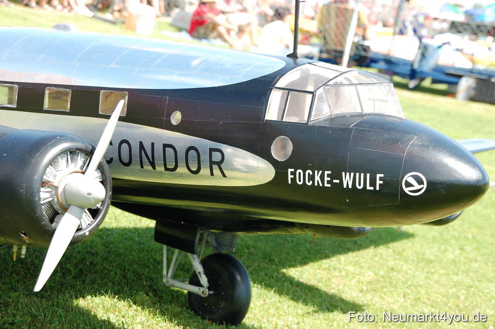 Grossflugmodelle Hemau 010810 0282