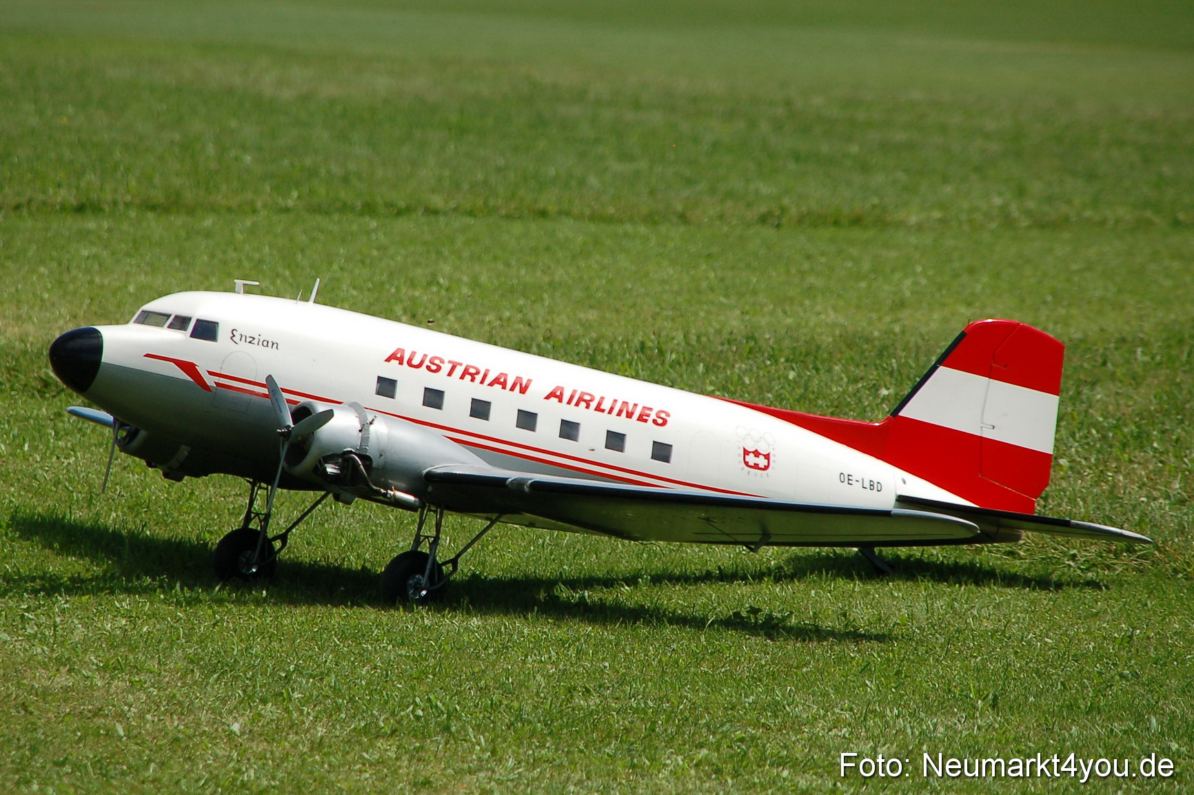 Grossflugmodelle Hemau 010810 0294