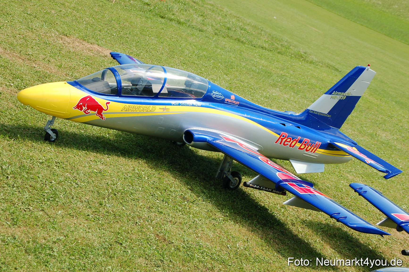 Grossflugmodelle Hemau 010810 0296