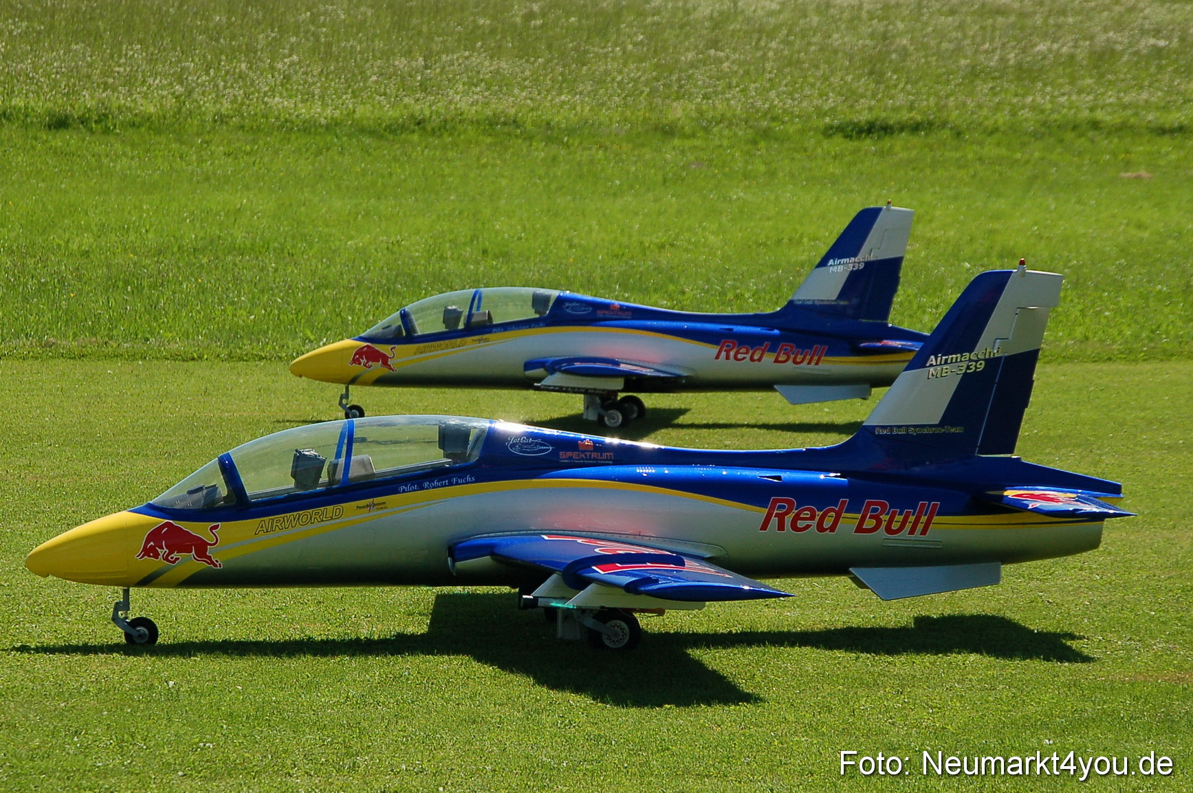 Grossflugmodelle Hemau 010810 0300