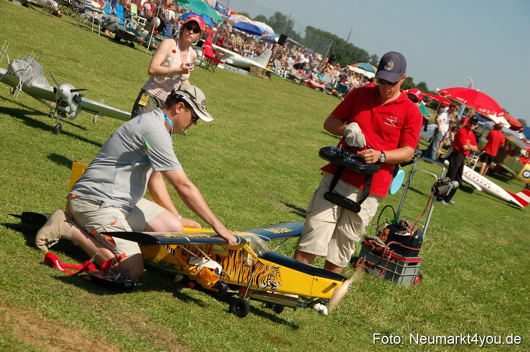 Grossflugmodelle Hemau 010810 0301