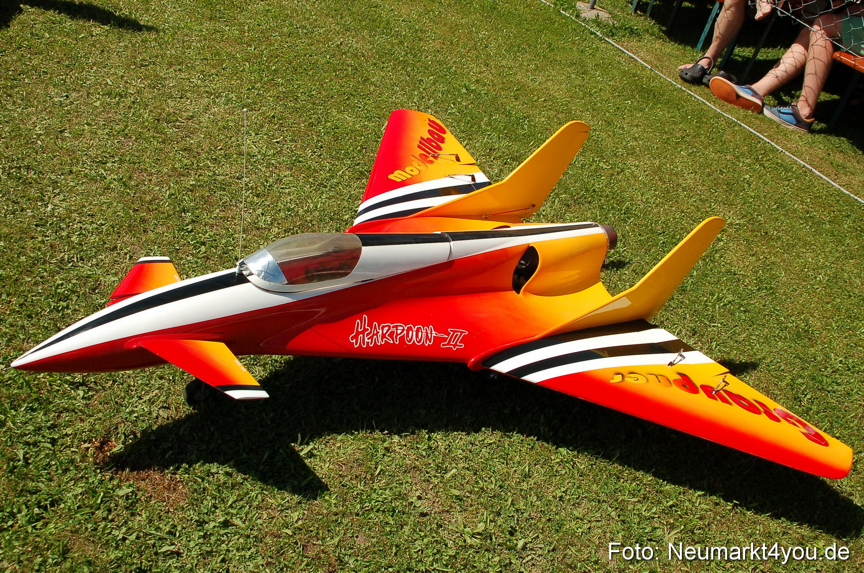 Grossflugmodelle Hemau 010810 0311