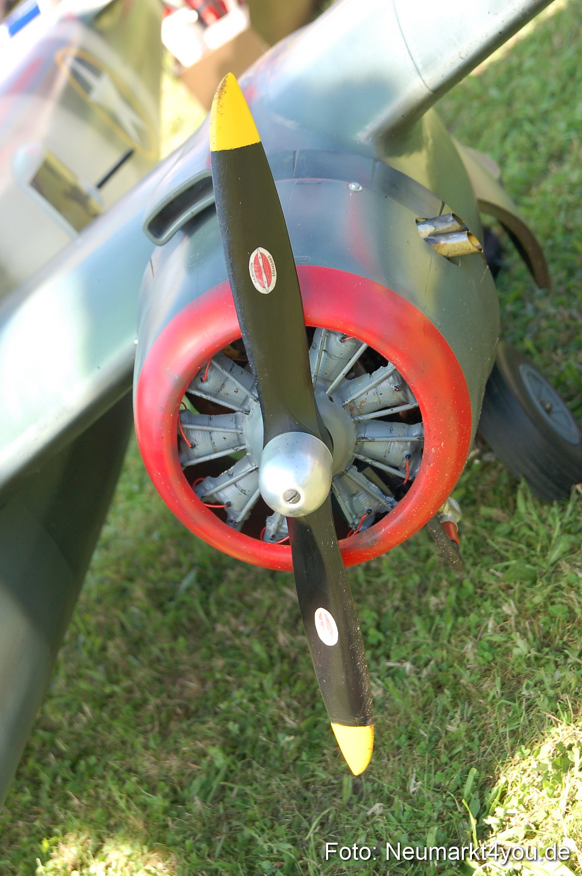 Grossflugmodelle Hemau 010810 0319