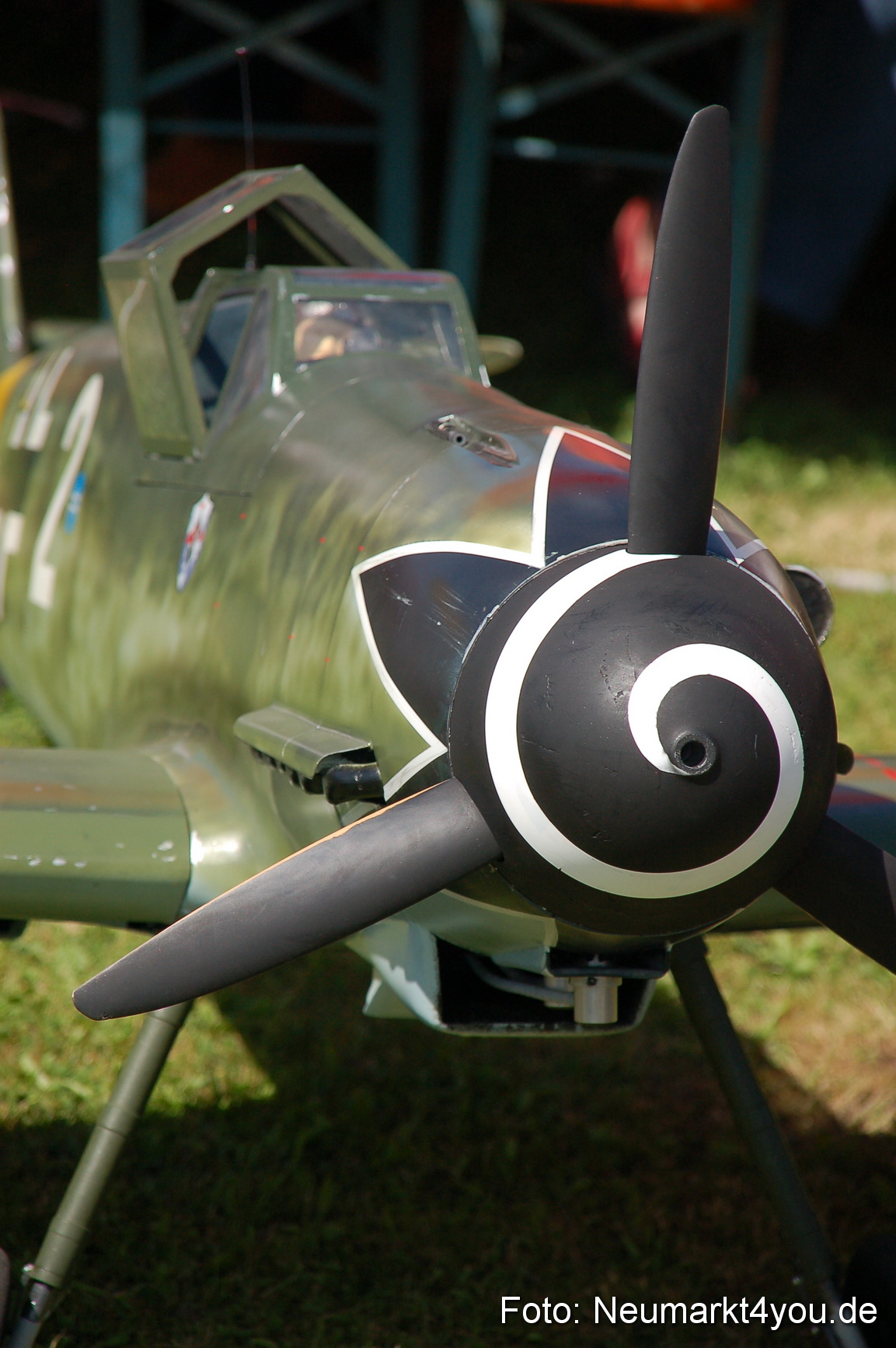 Grossflugmodelle Hemau 010810 0320