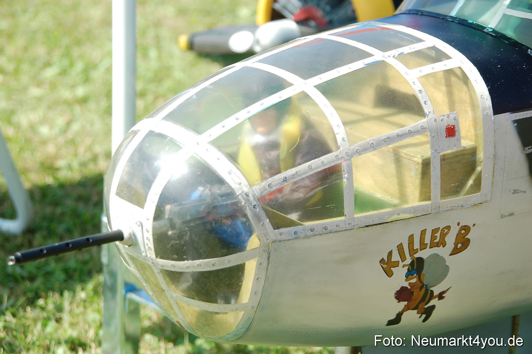 Grossflugmodelle Hemau 010810 0322