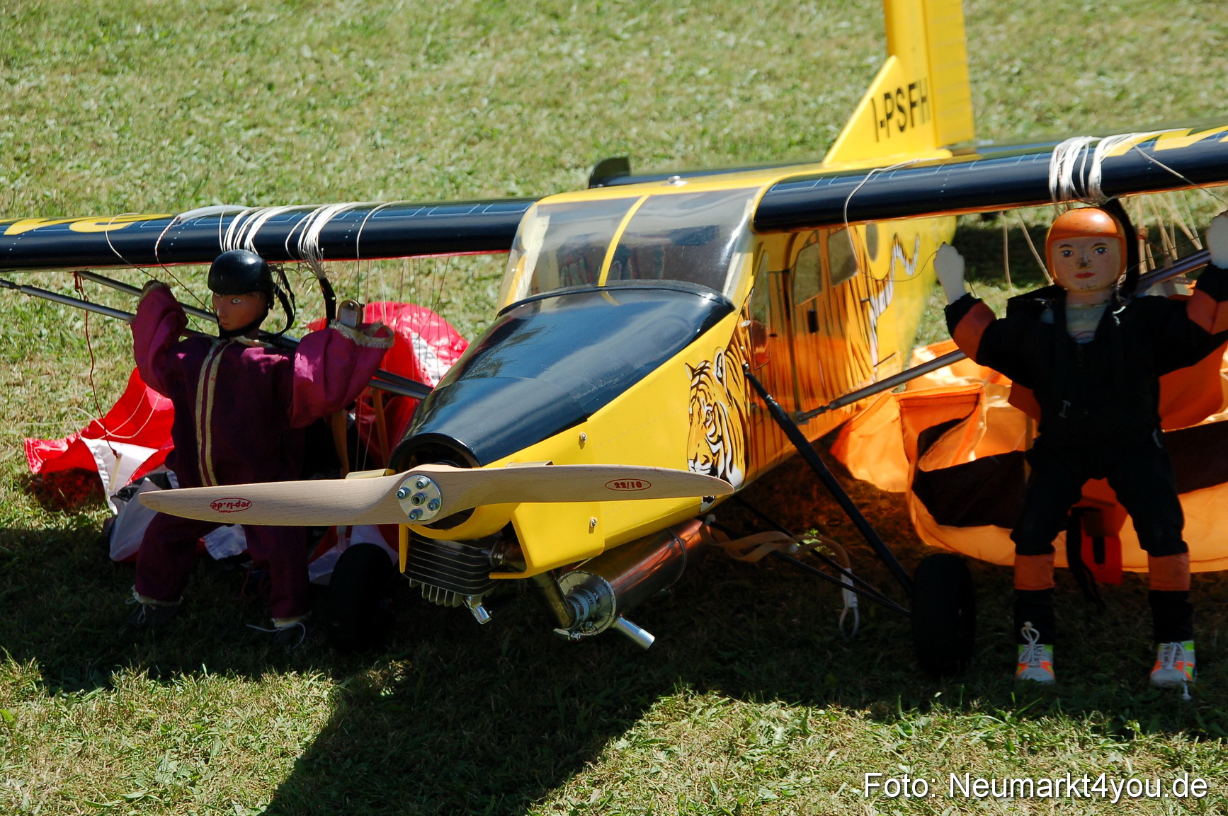 Grossflugmodelle Hemau 010810 0323