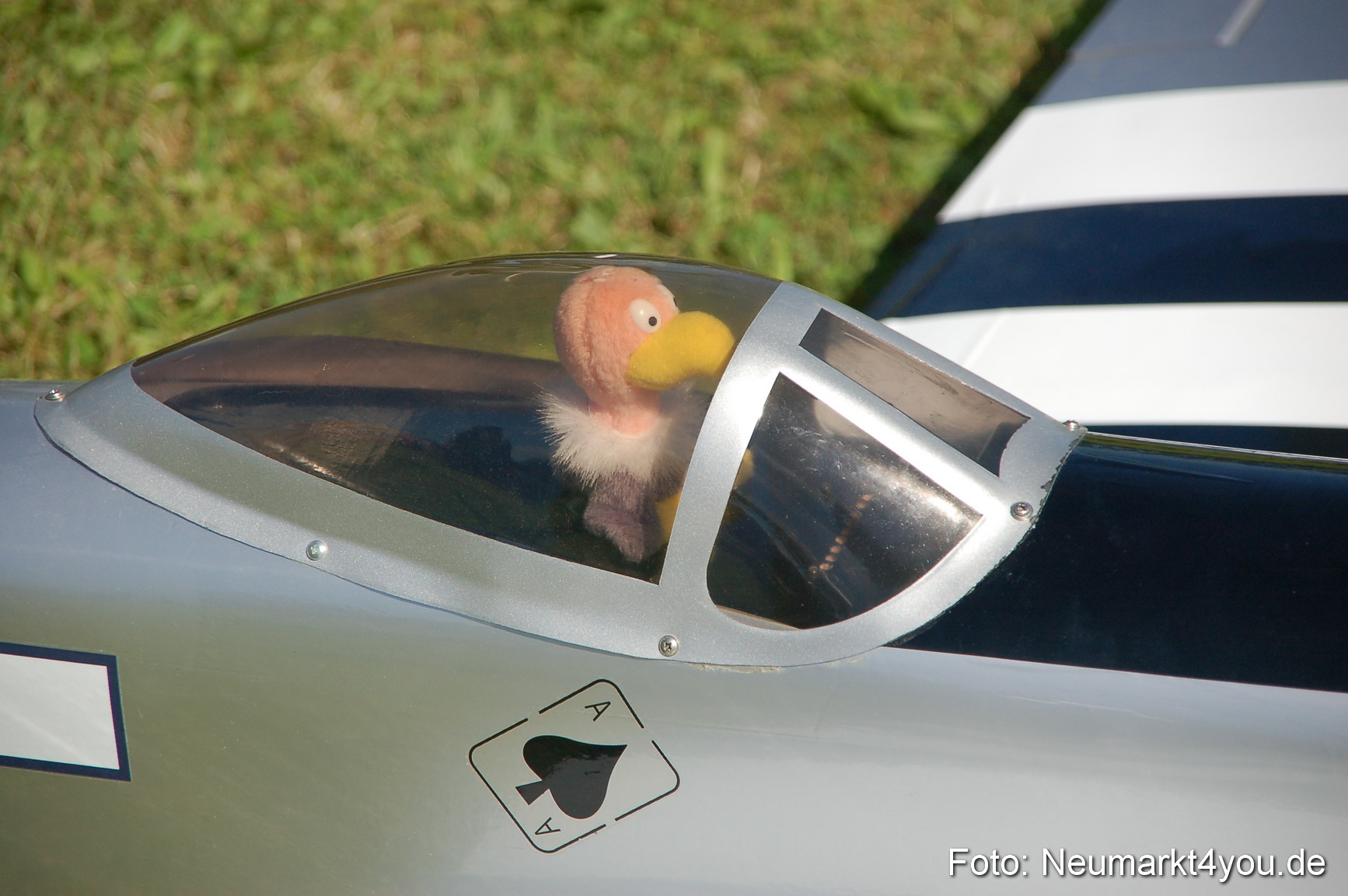 Grossflugmodelle Hemau 010810 0336