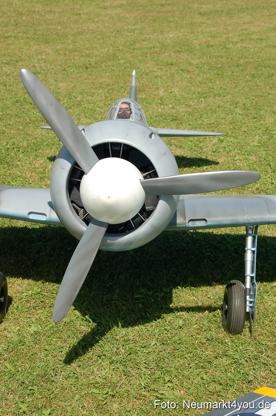 Grossflugmodelle Hemau 010810 0337