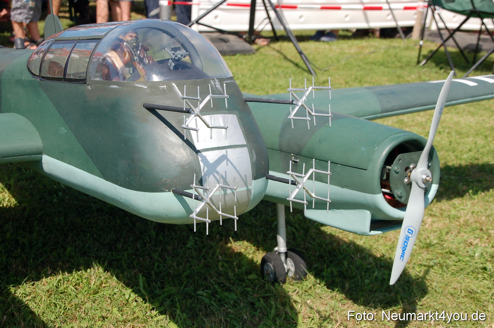Grossflugmodelle Hemau 010810 0347