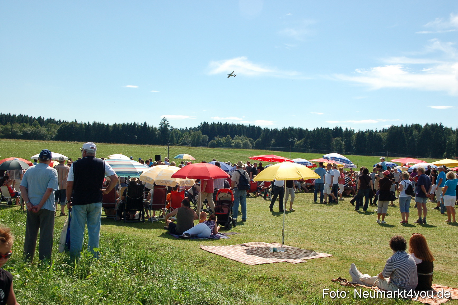 Grossflugmodelle Hemau 010810 0357