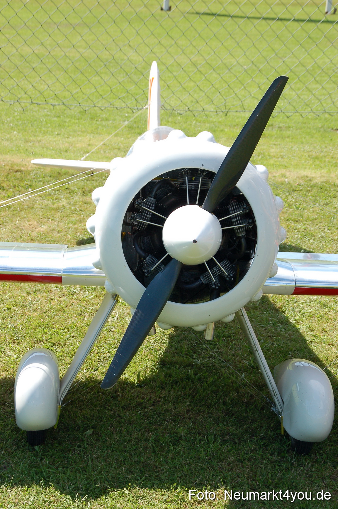 Grossflugmodelle Hemau 010810 0366