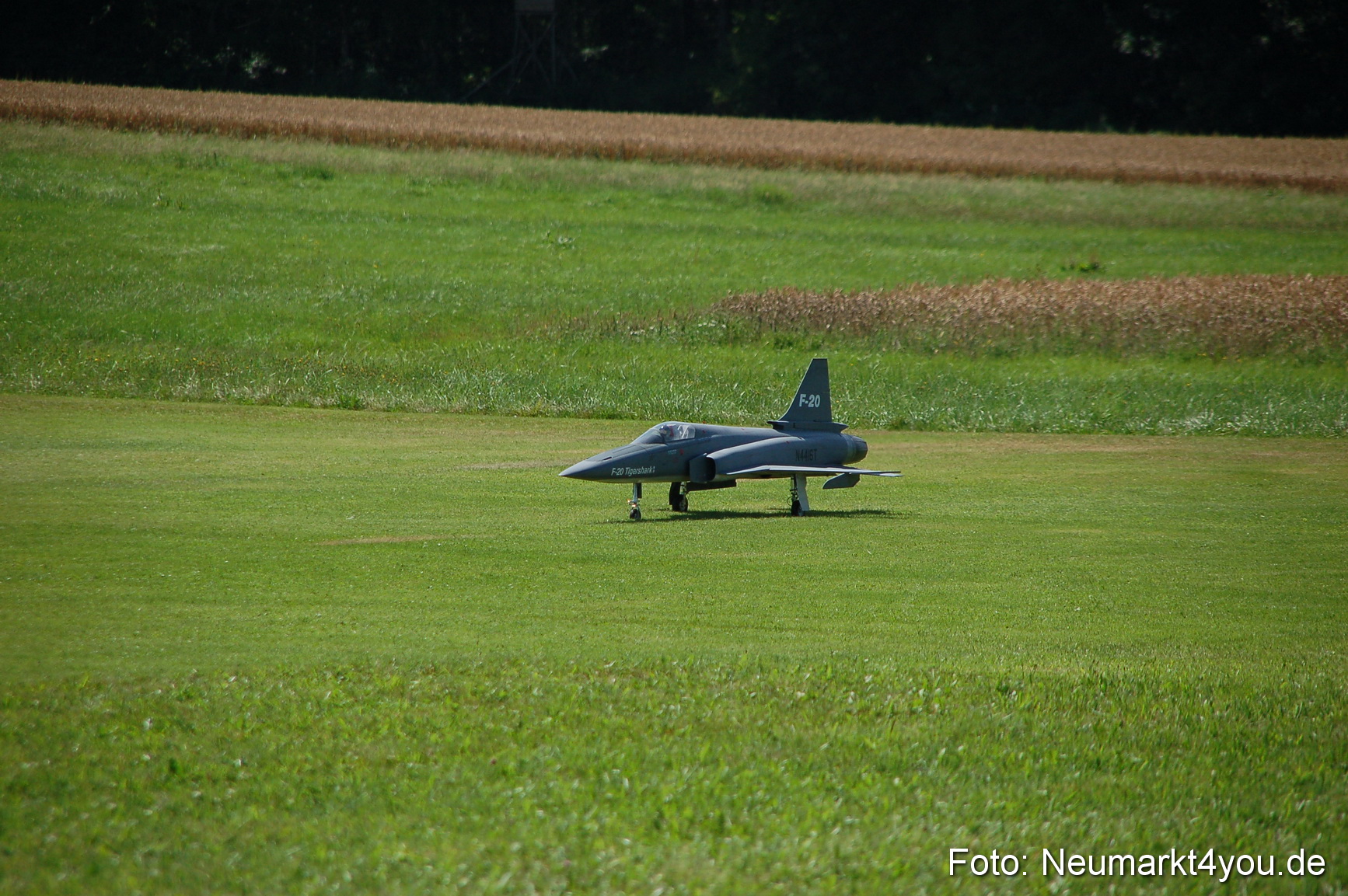 Grossflugmodelle Hemau 010810 0387