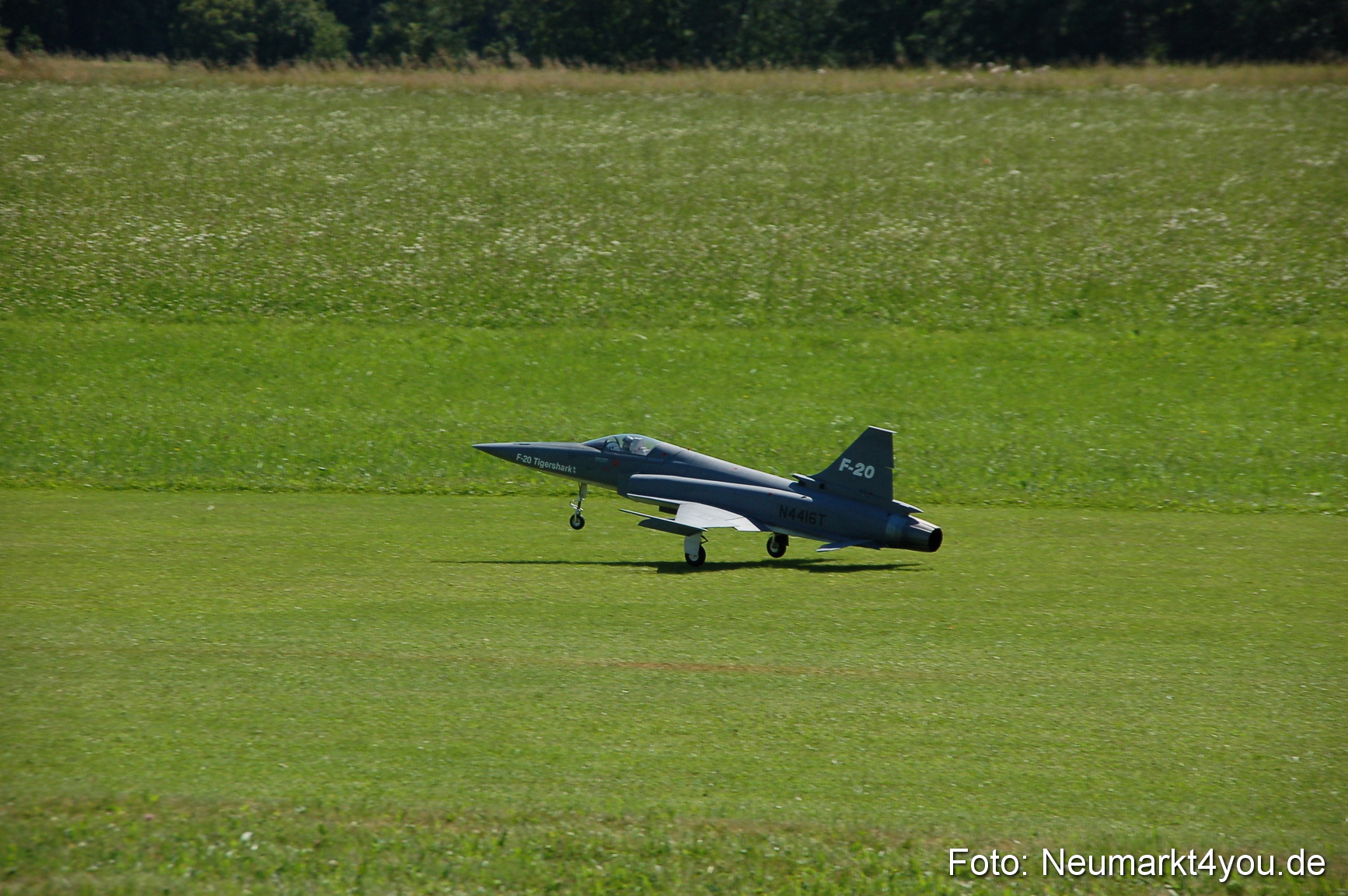 Grossflugmodelle Hemau 010810 0389