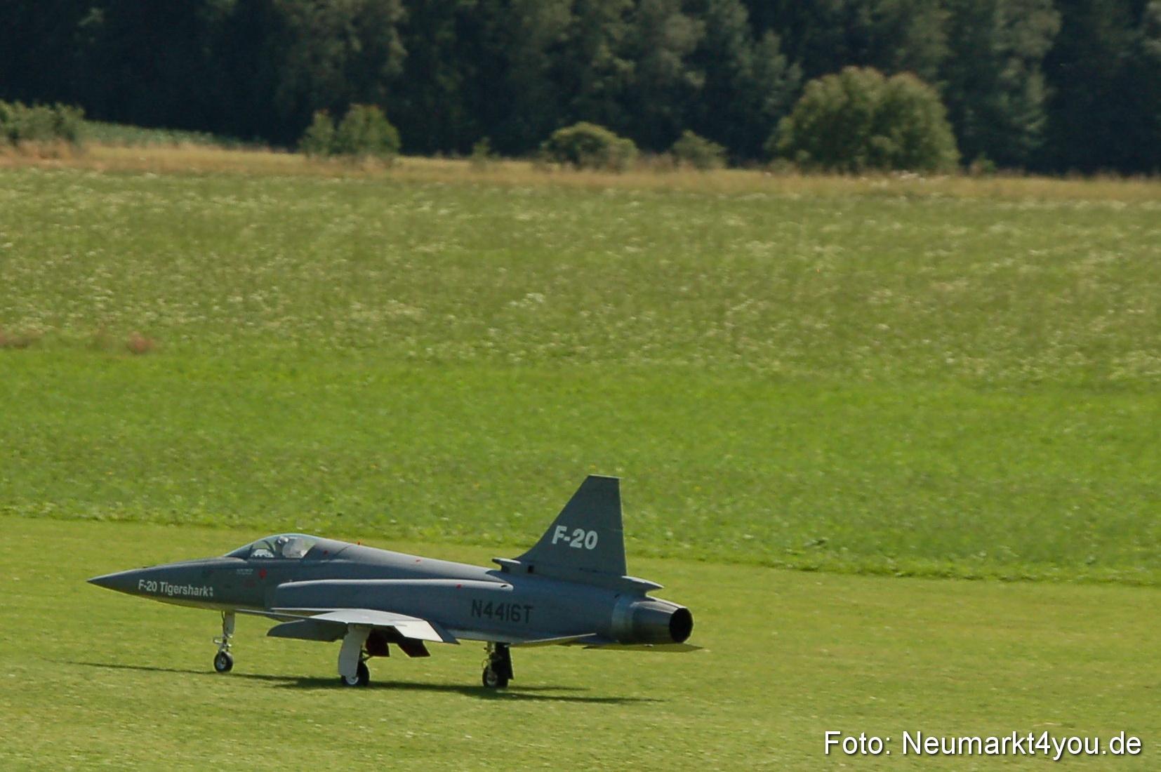 Grossflugmodelle Hemau 010810 0392