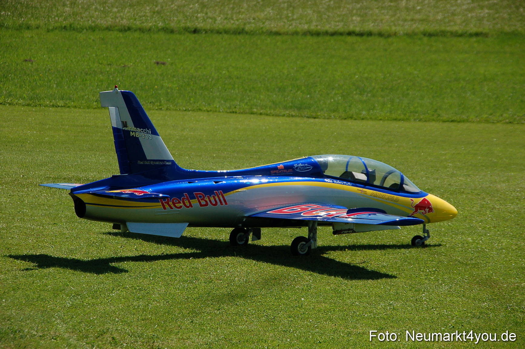 Grossflugmodelle Hemau 010810 0399