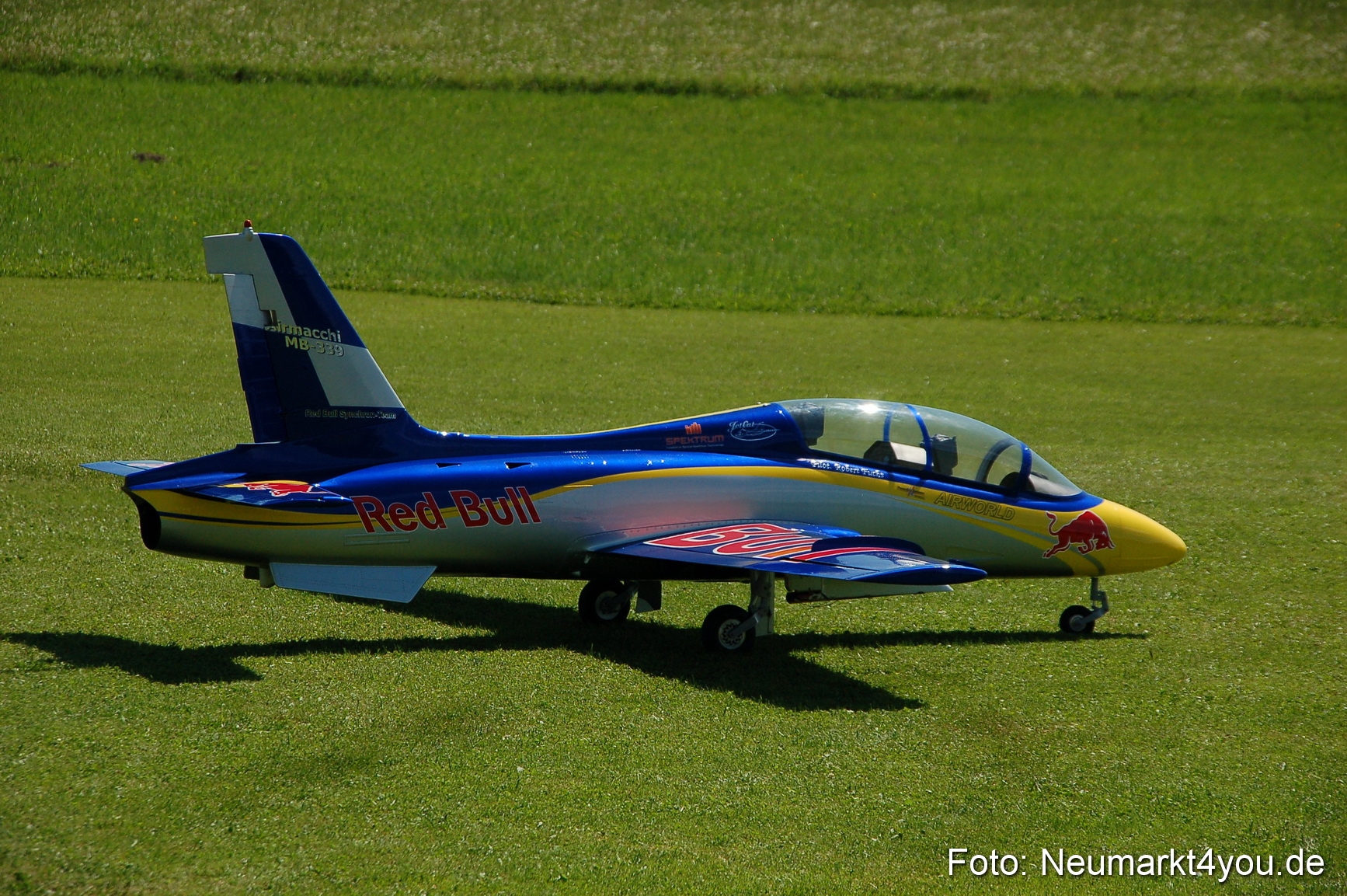 Grossflugmodelle Hemau 010810 0400