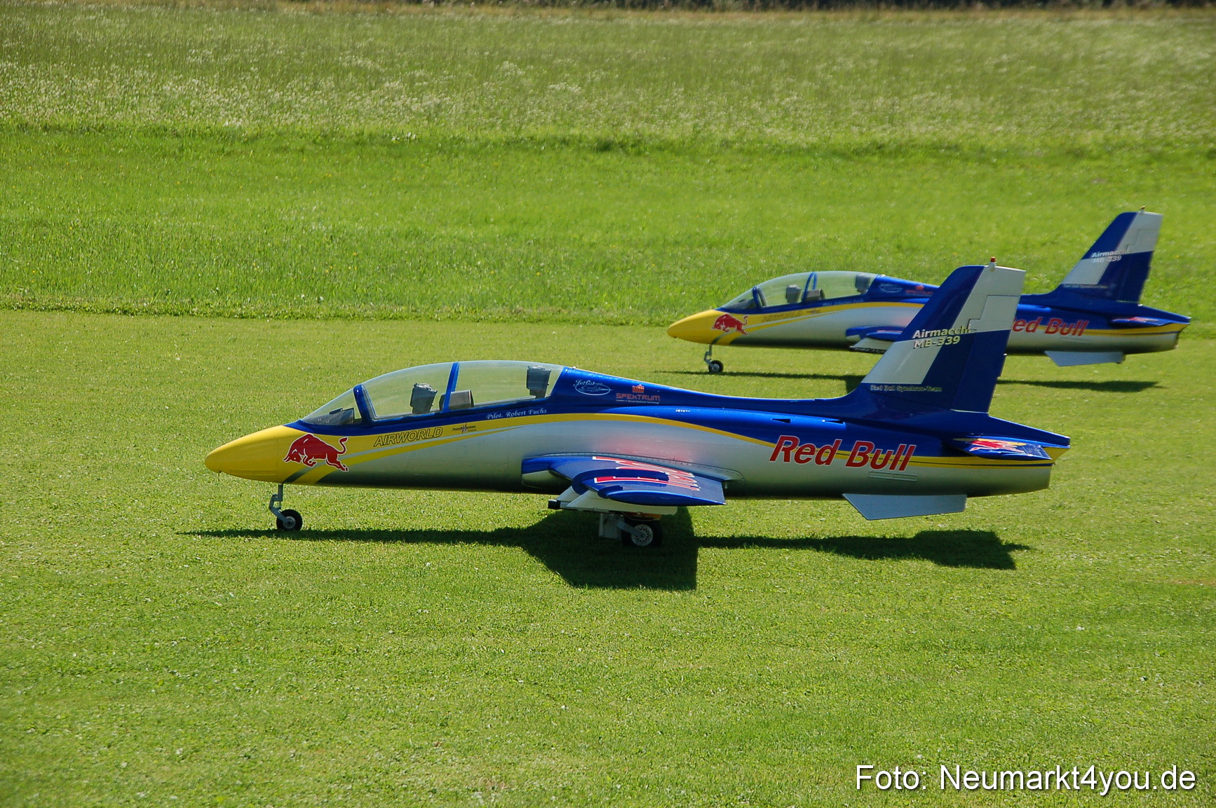 Grossflugmodelle Hemau 010810 0401