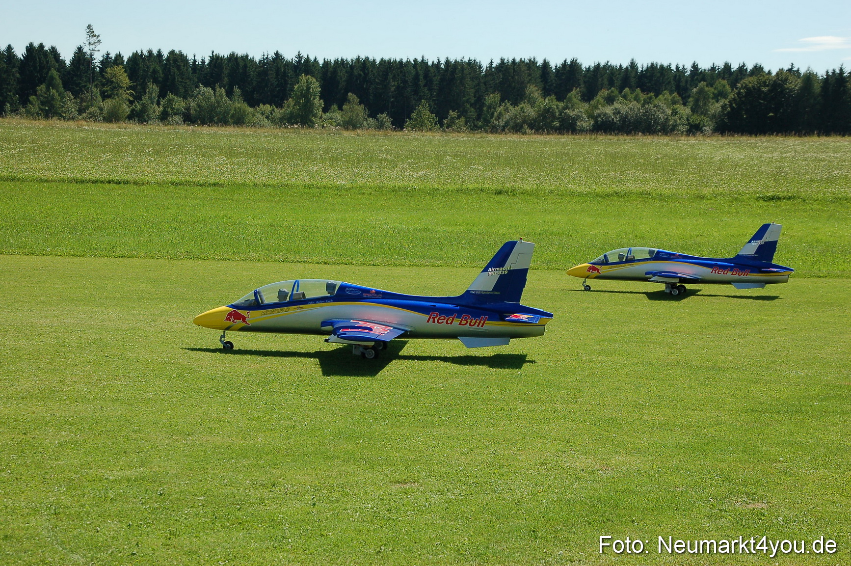 Grossflugmodelle Hemau 010810 0402