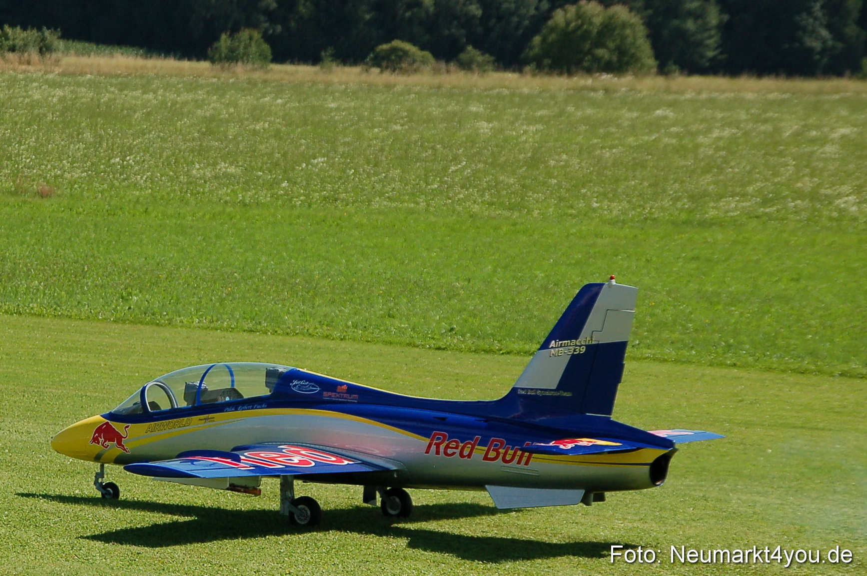 Grossflugmodelle Hemau 010810 0403