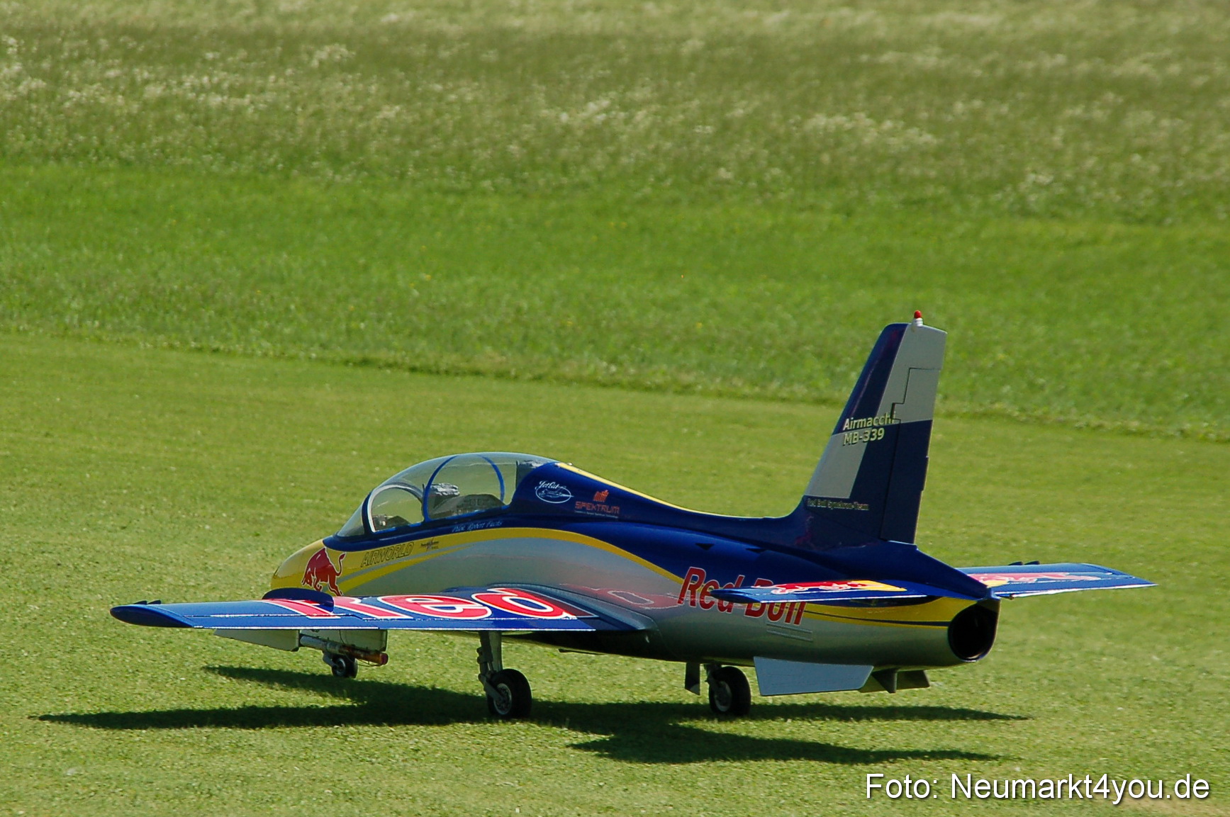 Grossflugmodelle Hemau 010810 0404