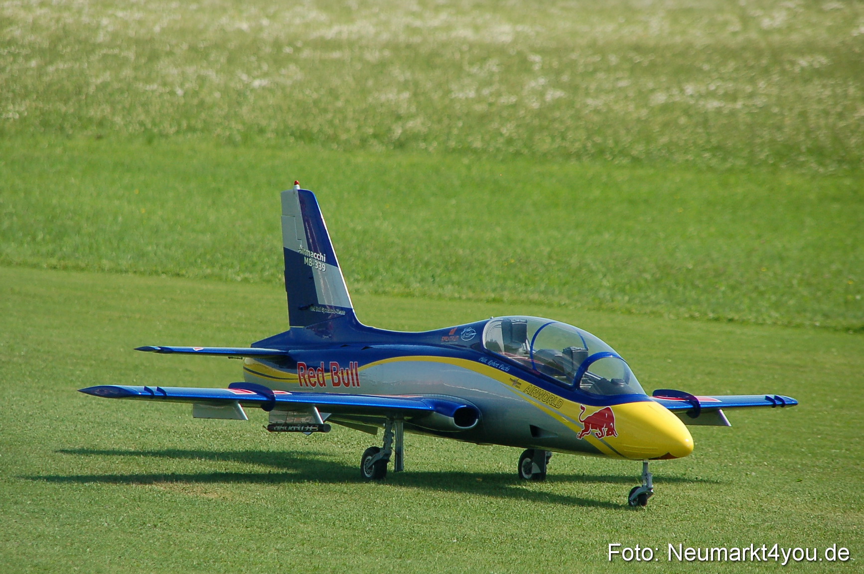 Grossflugmodelle Hemau 010810 0406