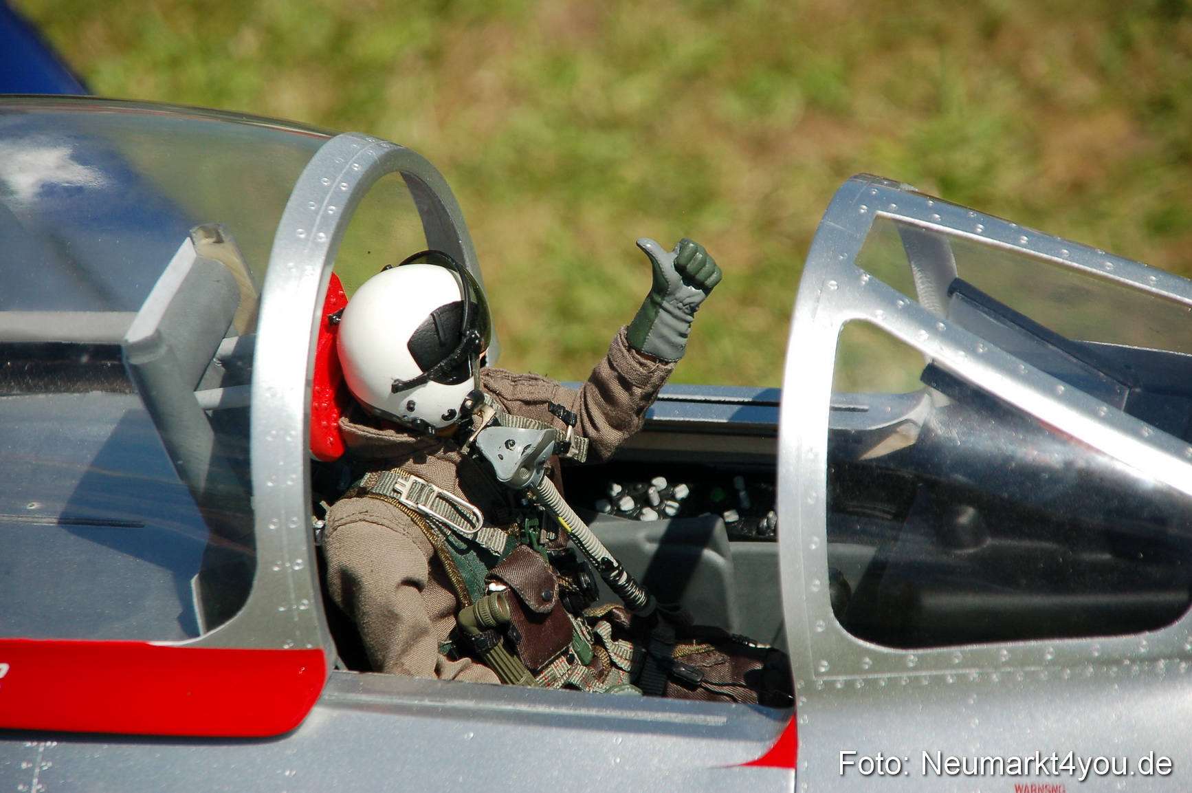 Grossflugmodelle Hemau 010810 0412