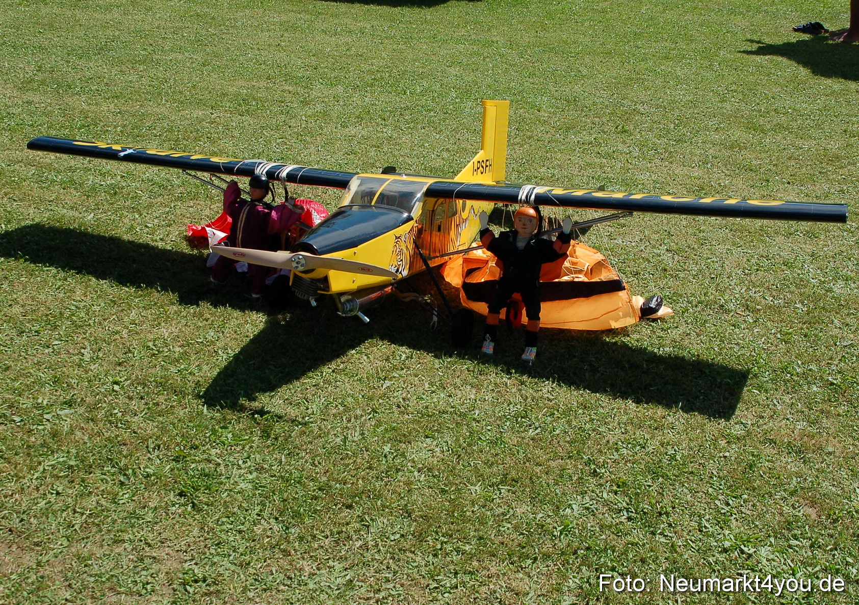 Grossflugmodelle Hemau 010810 0413