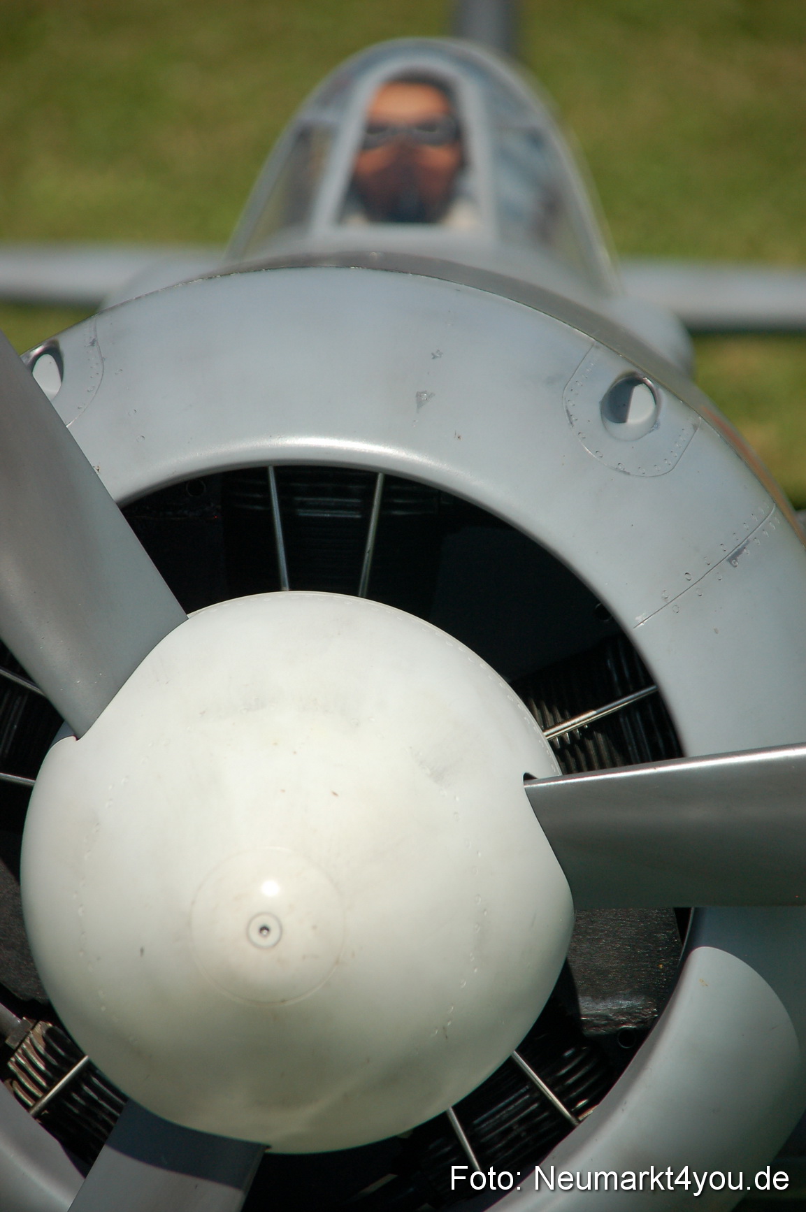 Grossflugmodelle Hemau 010810 0420