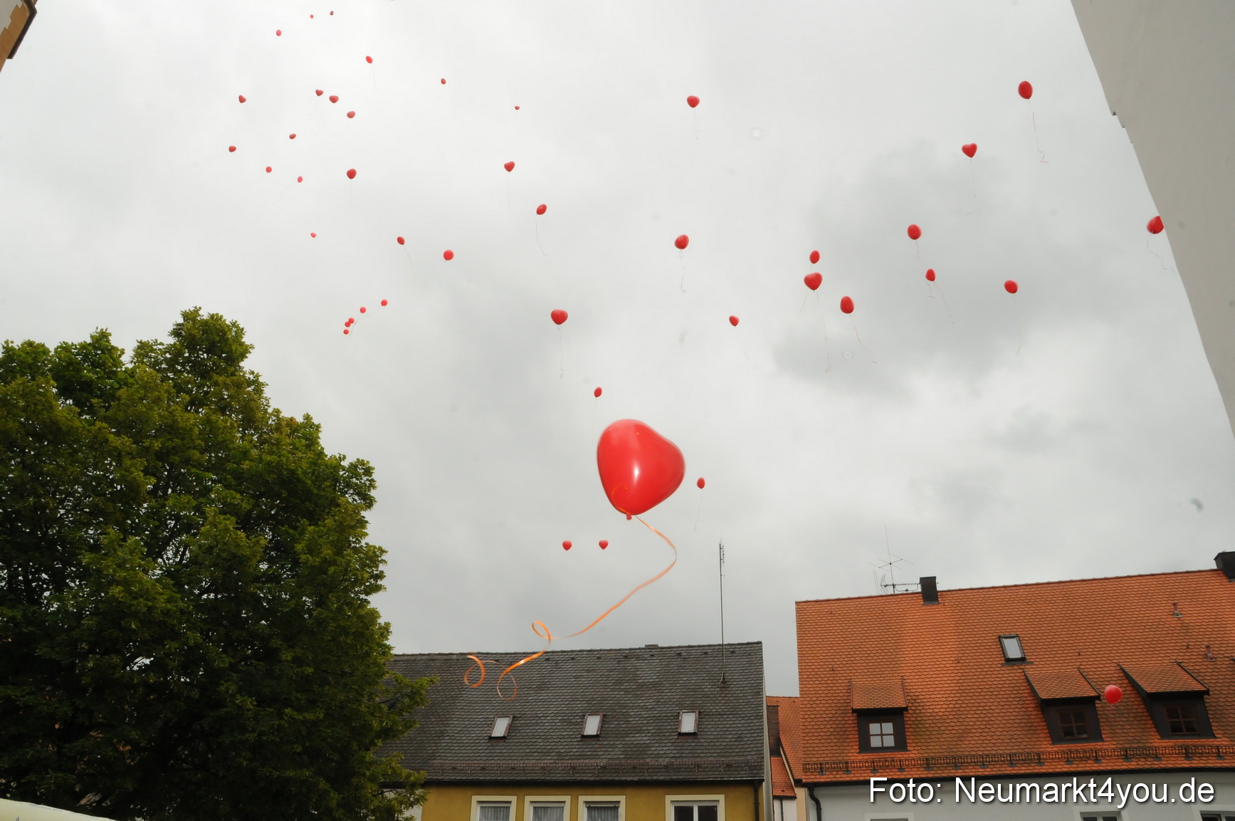 Hochzeit Thumann 190610 0022