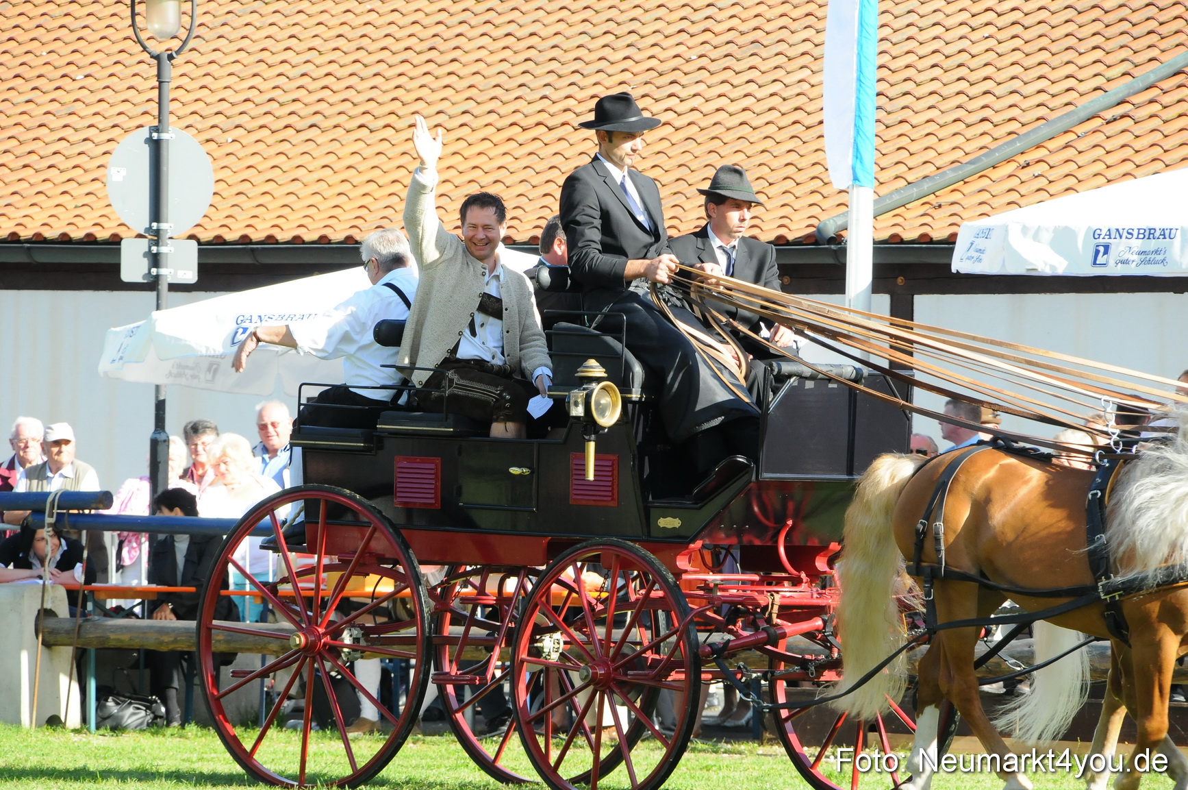 Pferdeschau Volksfest Neumarkt 160810 0002