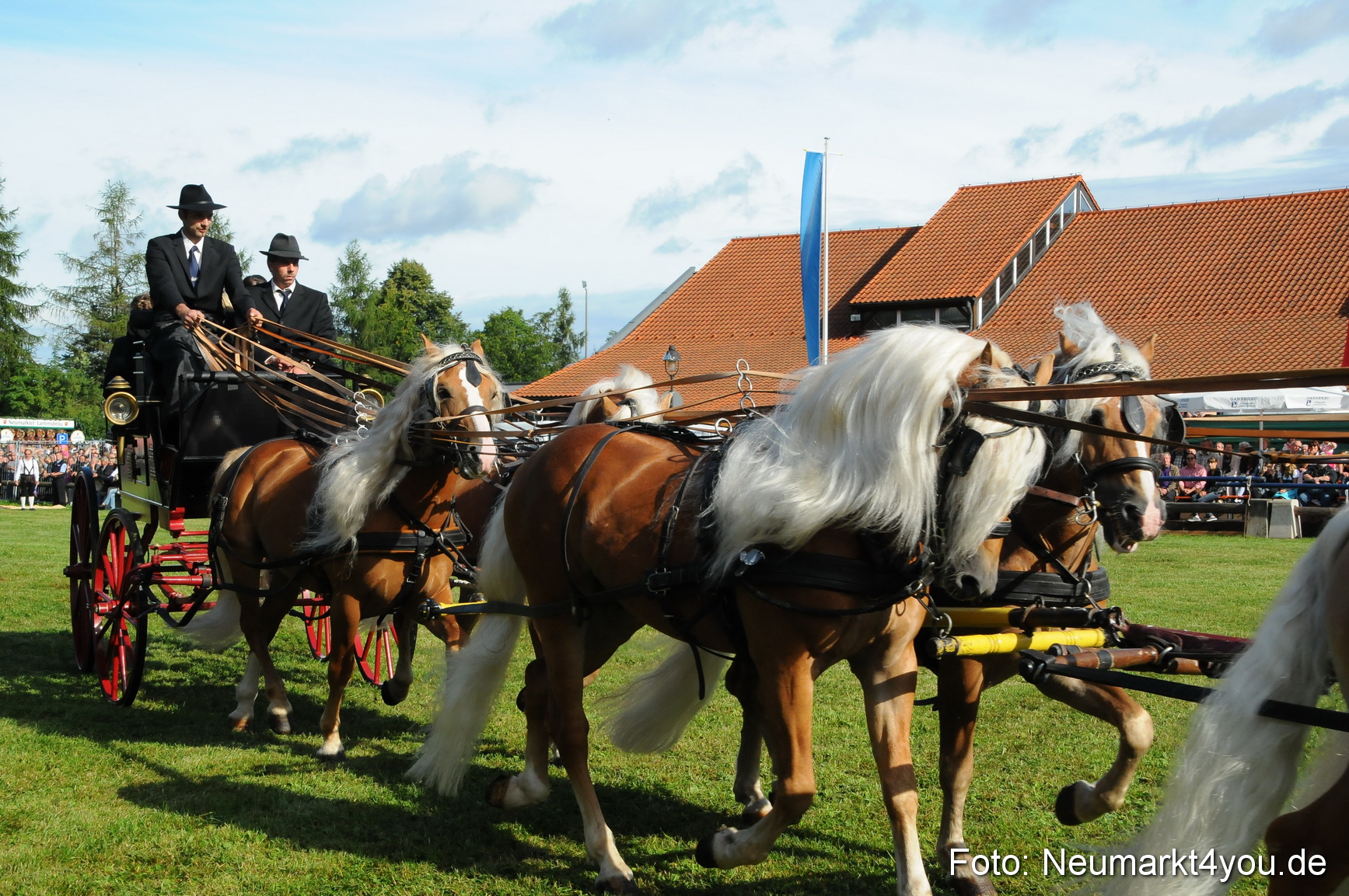 Pferdeschau Volksfest Neumarkt 160810 0006
