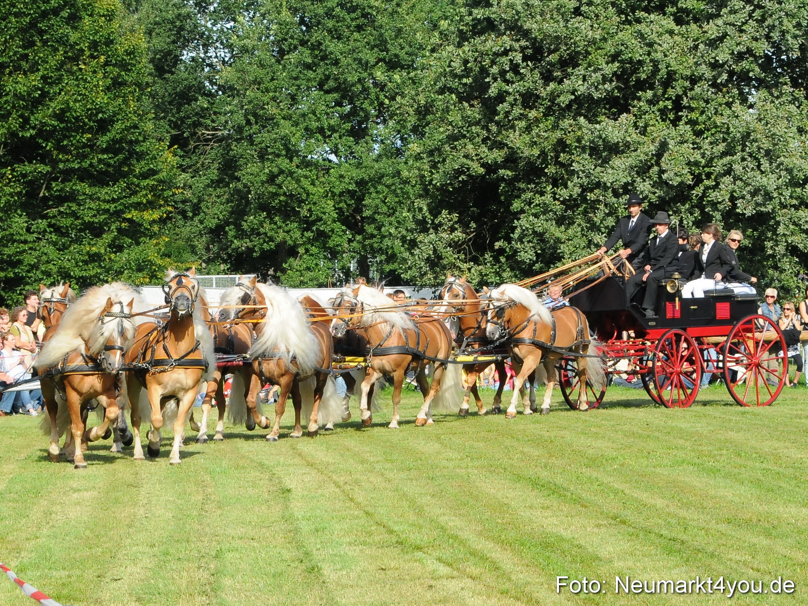 Pferdeschau Volksfest Neumarkt 160810 0008