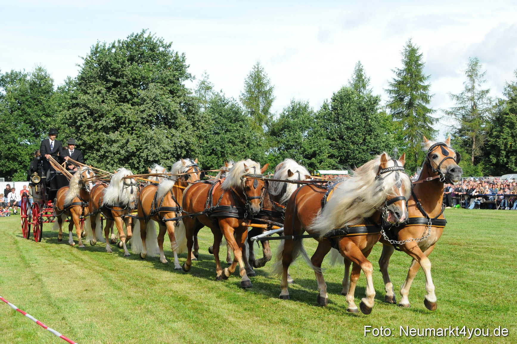 Pferdeschau Volksfest Neumarkt 160810 0009