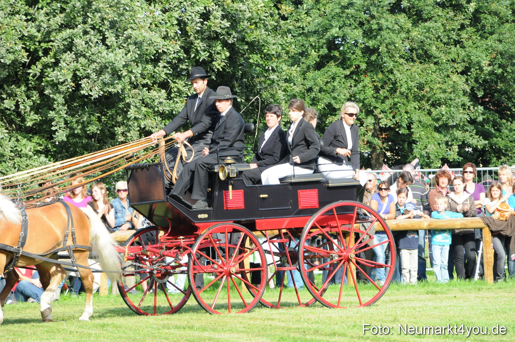 Pferdeschau Volksfest Neumarkt 160810 0010