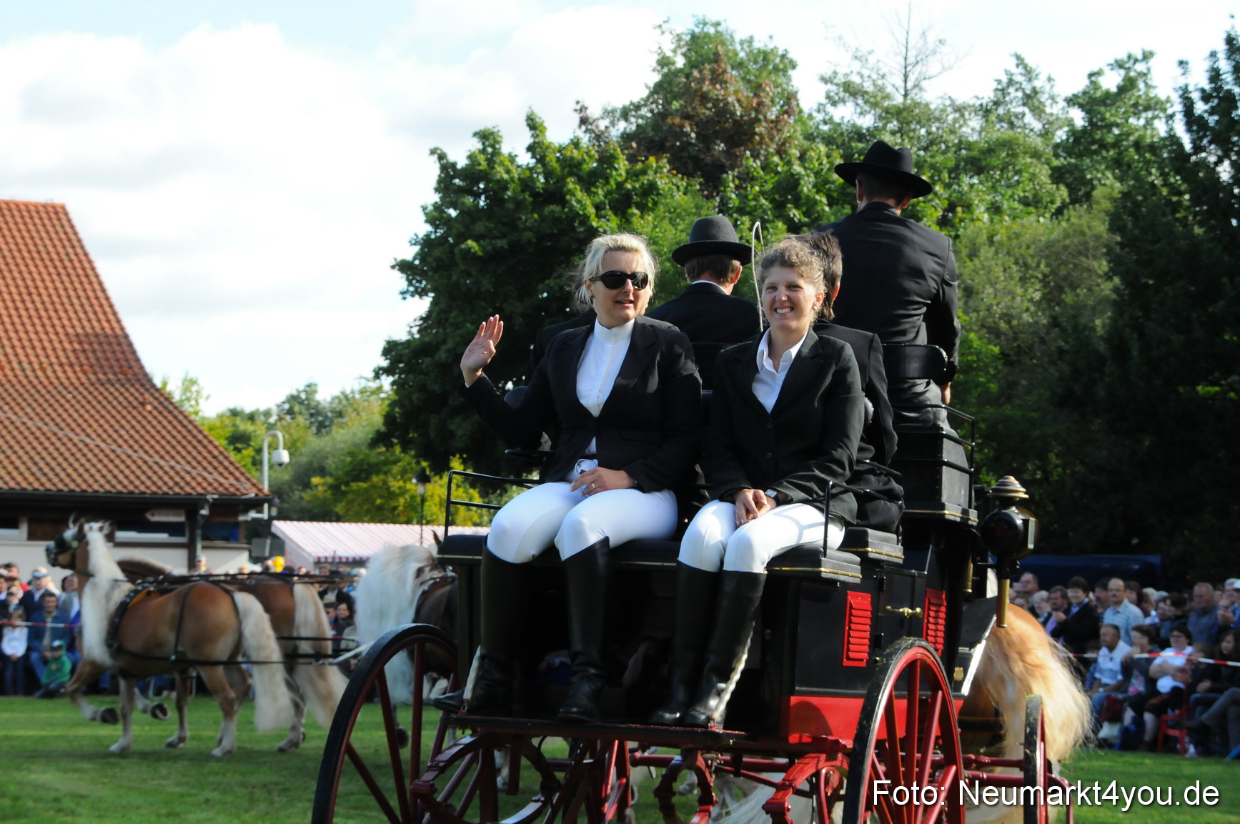 Pferdeschau Volksfest Neumarkt 160810 0011