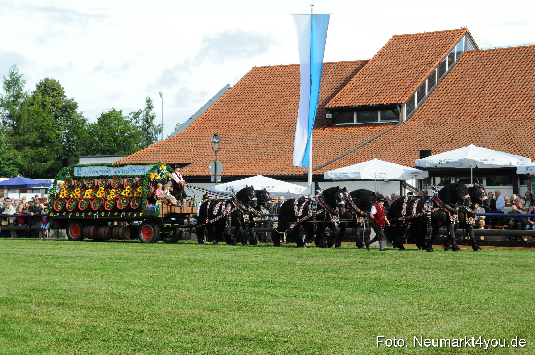 Pferdeschau Volksfest Neumarkt 160810 0012