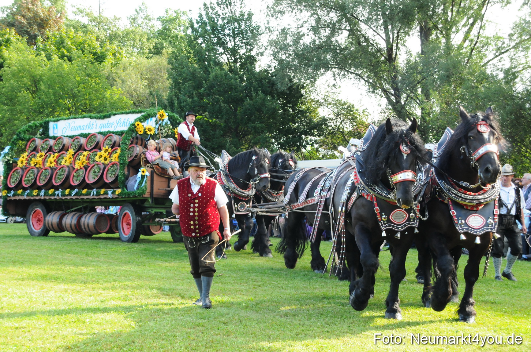 Pferdeschau Volksfest Neumarkt 160810 0013
