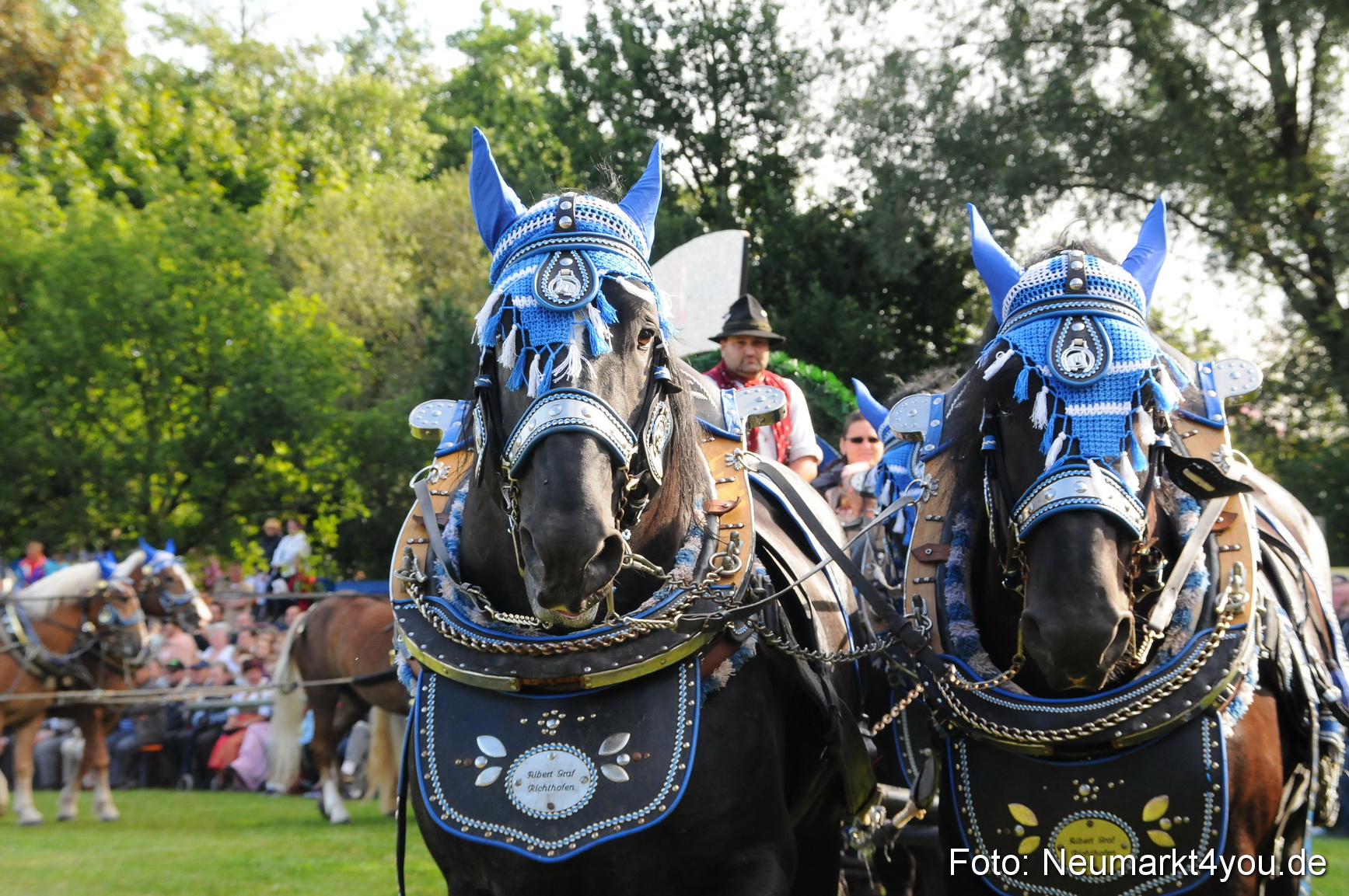 Pferdeschau Volksfest Neumarkt 160810 0017