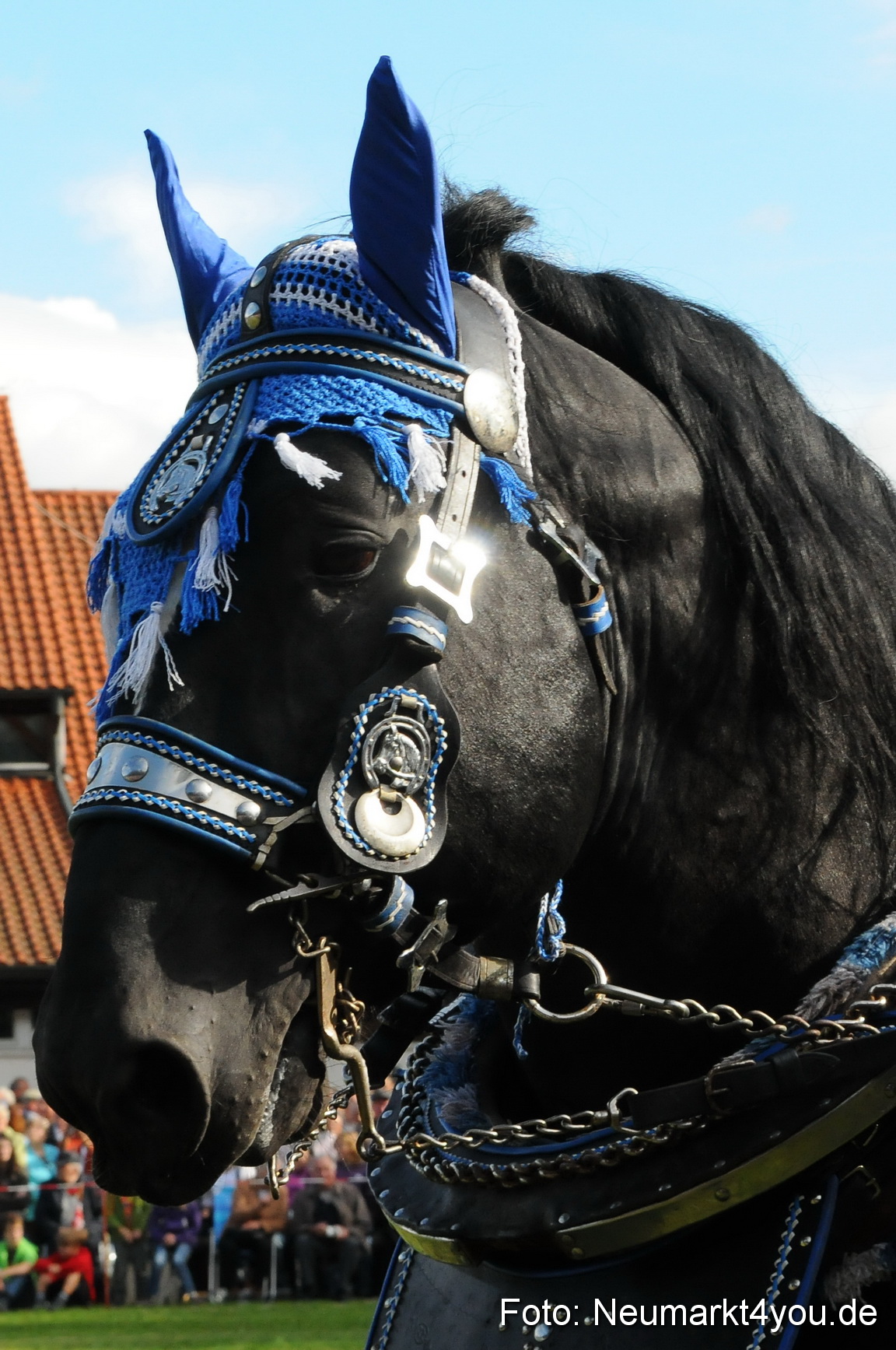Pferdeschau Volksfest Neumarkt 160810 0018