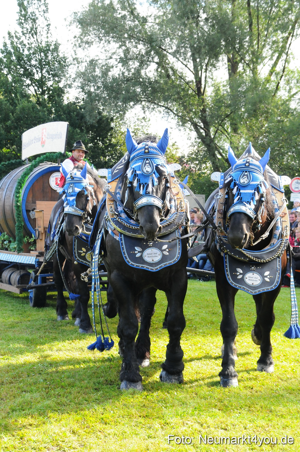 Pferdeschau Volksfest Neumarkt 160810 0019