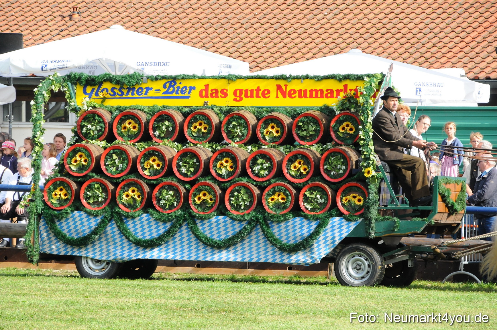 Pferdeschau Volksfest Neumarkt 160810 0020