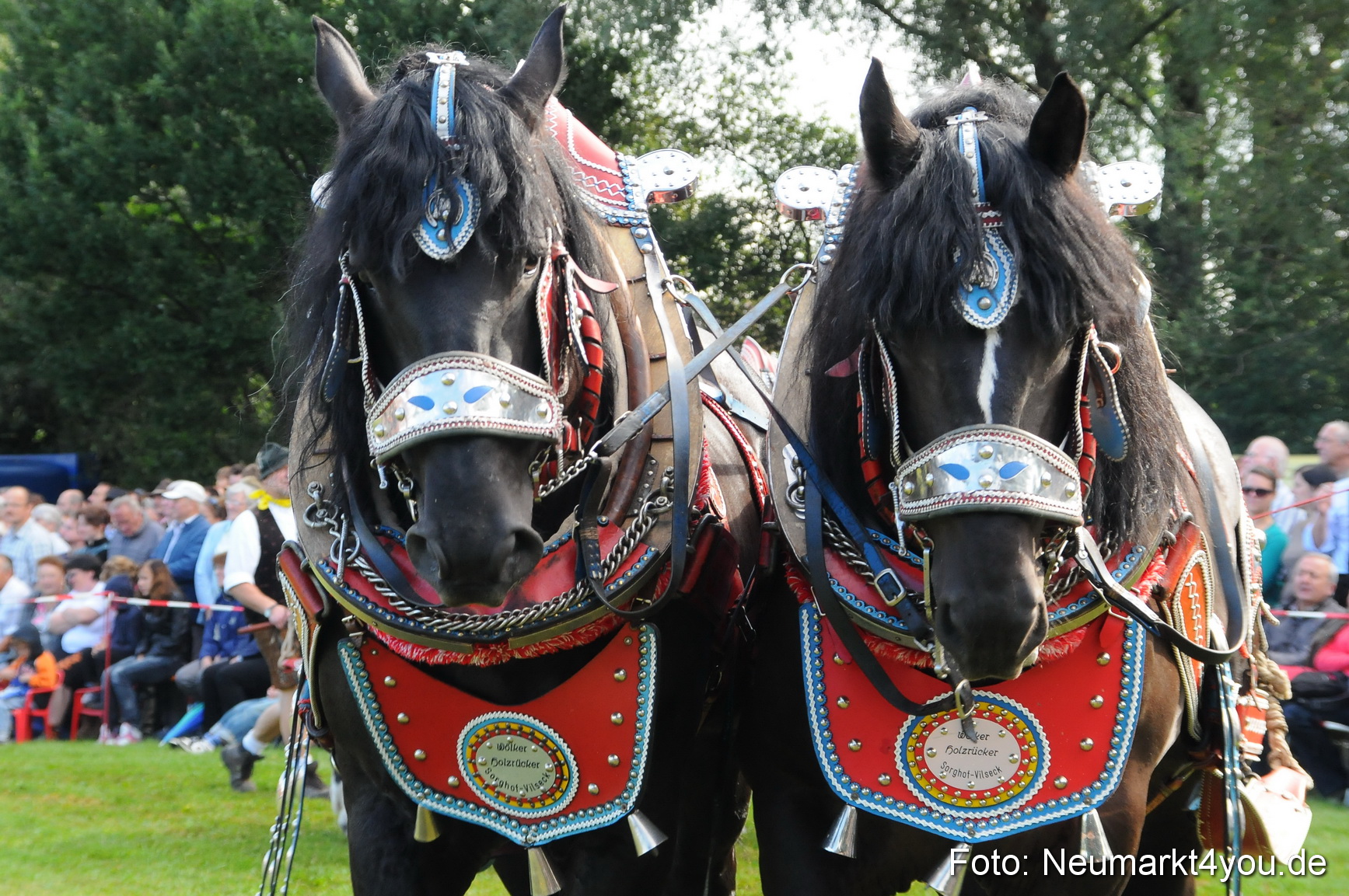 Pferdeschau Volksfest Neumarkt 160810 0023