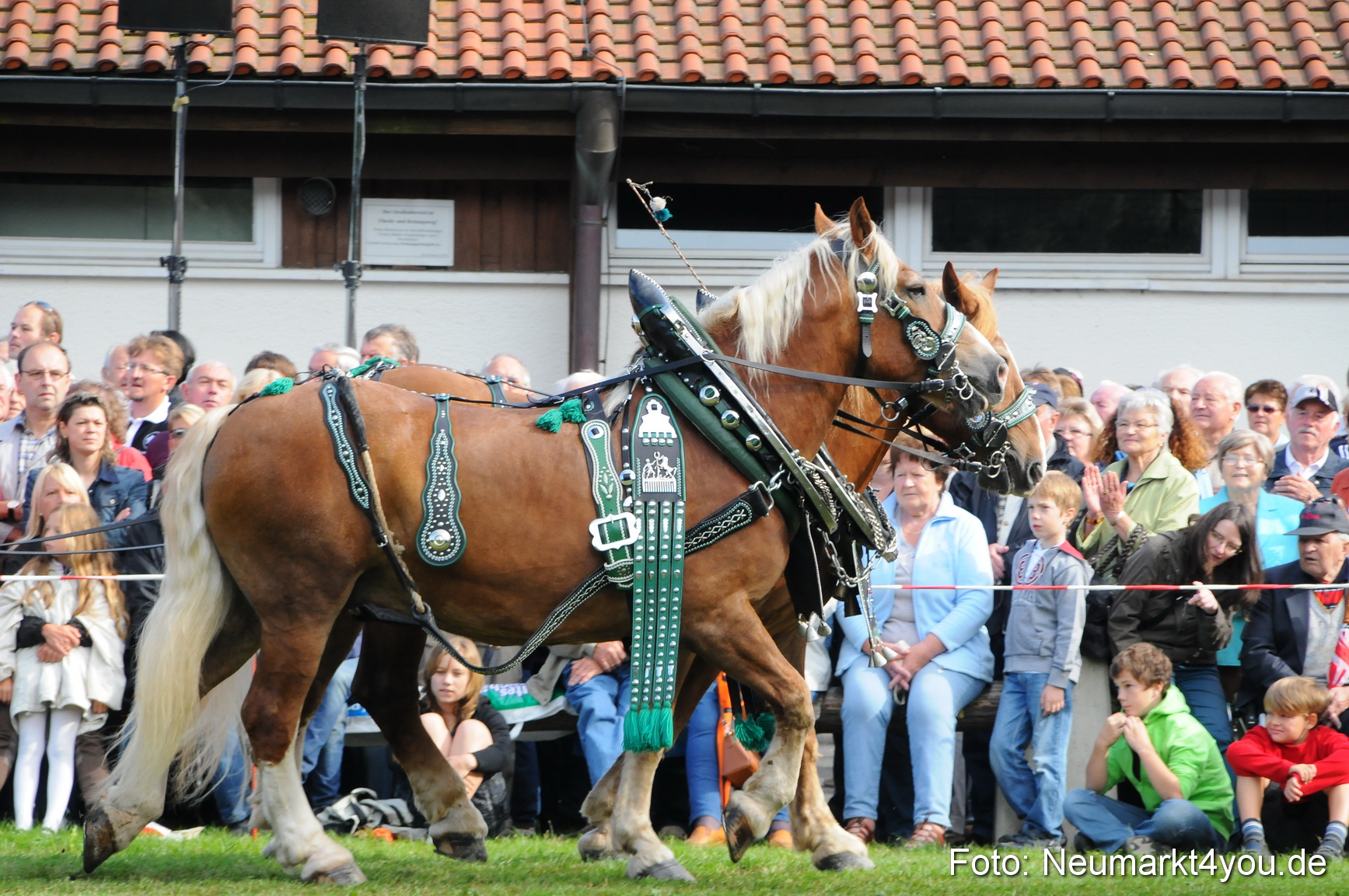 Pferdeschau Volksfest Neumarkt 160810 0026