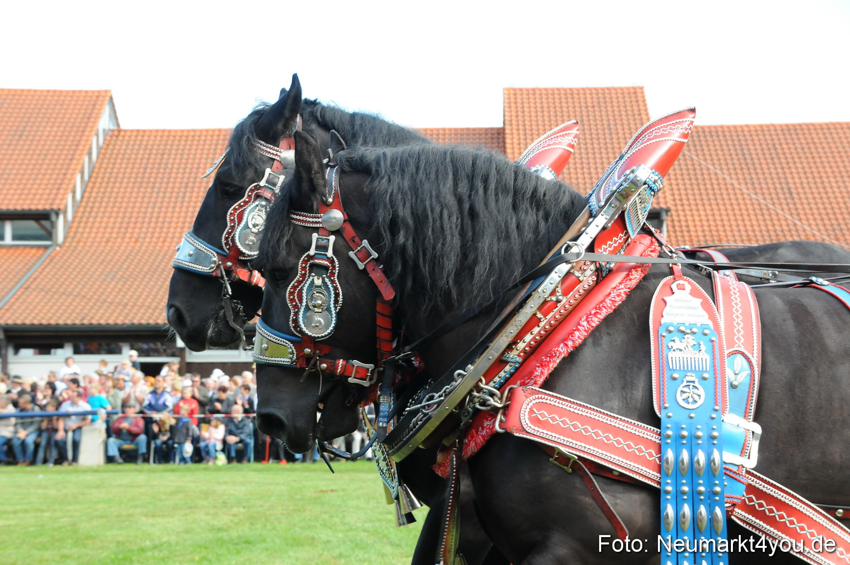 Pferdeschau Volksfest Neumarkt 160810 0029