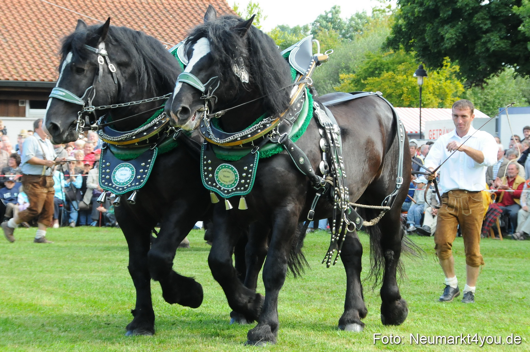 Pferdeschau Volksfest Neumarkt 160810 0030