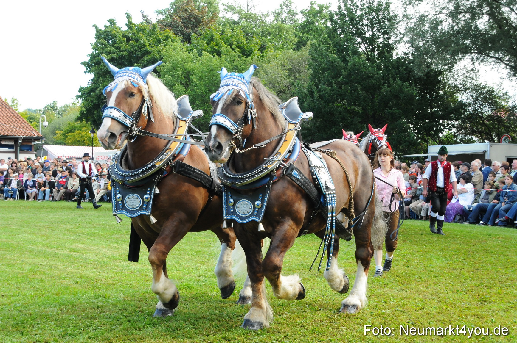 Pferdeschau Volksfest Neumarkt 160810 0034