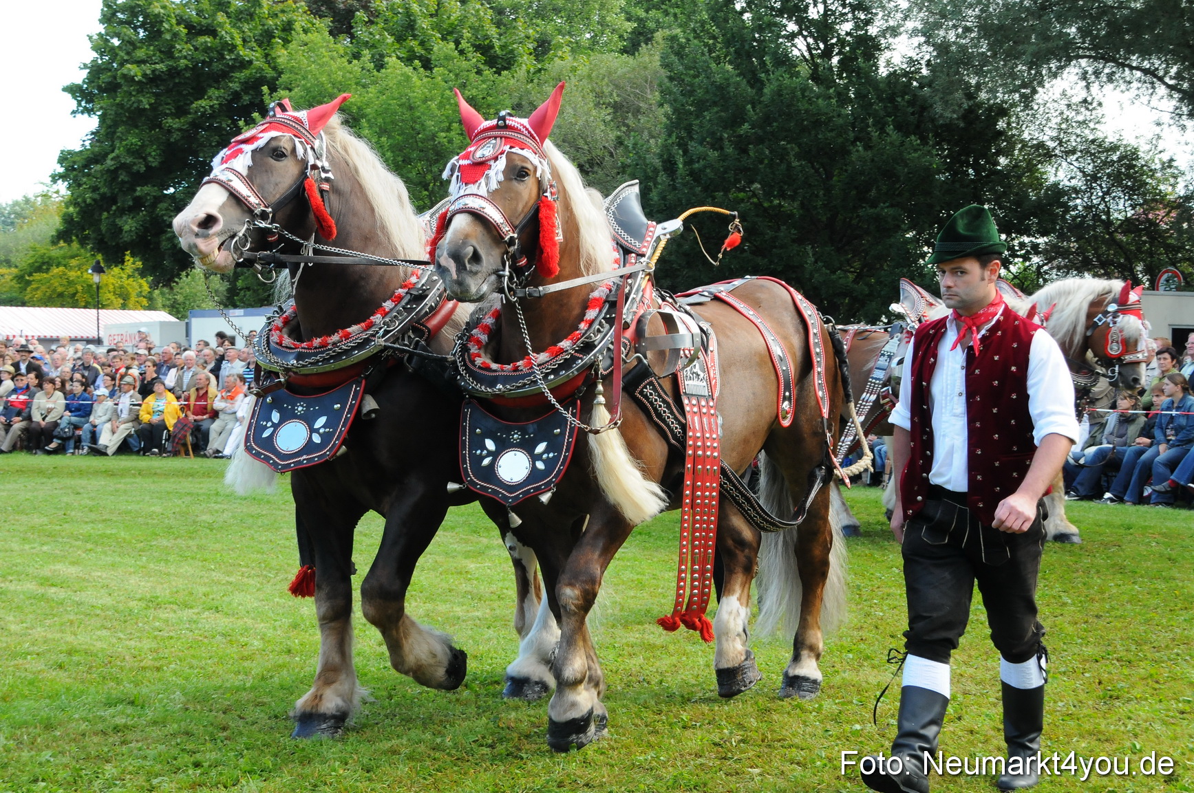 Pferdeschau Volksfest Neumarkt 160810 0035